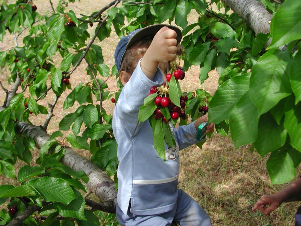 Quintinha Dos Cedros Βίλα Alfândega da Fé Εξωτερικό φωτογραφία