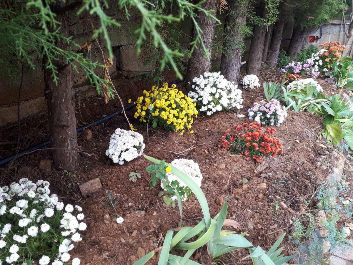 Quintinha Dos Cedros Βίλα Alfândega da Fé Εξωτερικό φωτογραφία